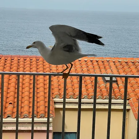 Vue Mer, Deux Plages A Proximite Apartment
